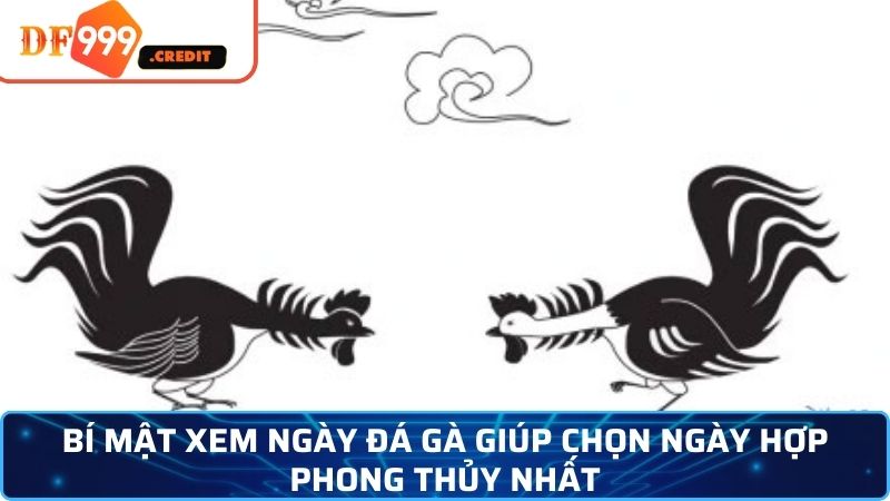 Bí quyết xem ngày đá gà giúp chọn thời điểm may mắn