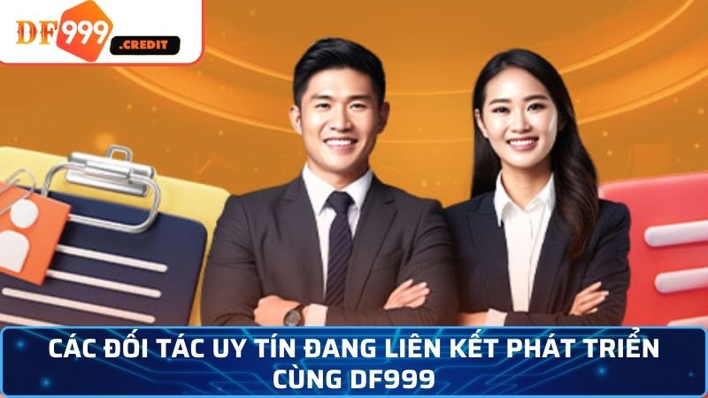 Các đối tác uy tín đang liên kết phát triển cùng DF999