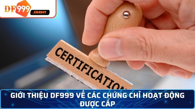 Giới thiệu DF999 về các chứng chỉ hoạt động được cấp