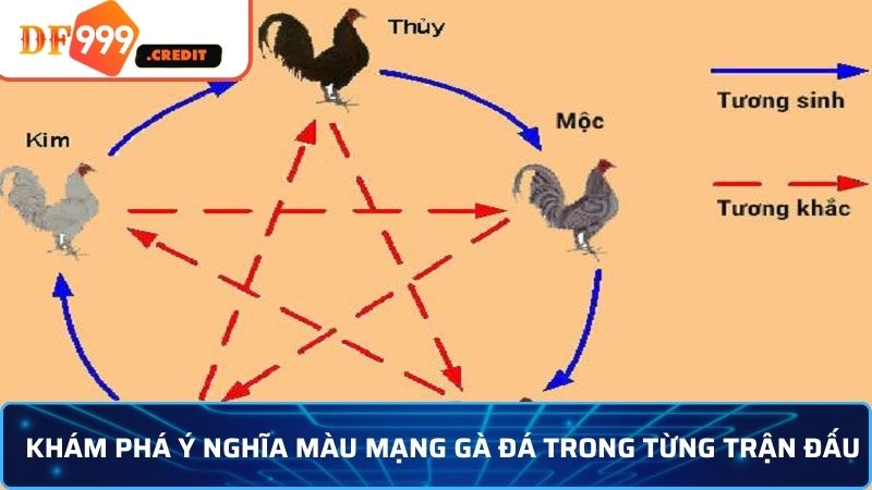 Hiểu đúng về màu mạng gà đá để tối ưu chiến thuật