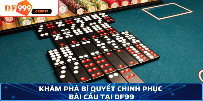 Khám phá bí quyết chinh phục bài cẩu tại DF99