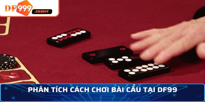 Phân tích cách chơi bài cẩu tại DF99