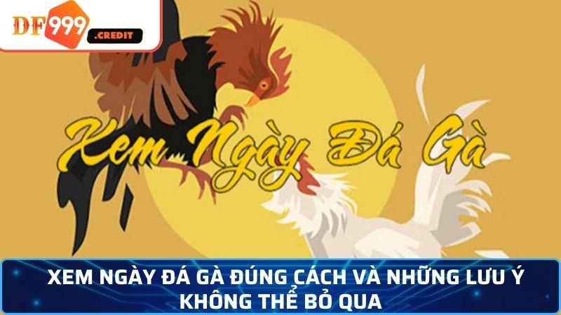 Phương pháp xem ngày đá gà chuẩn xác từ các chuyên gia