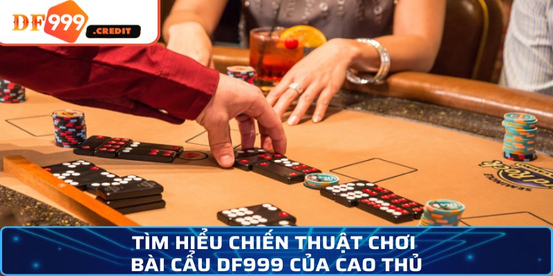 Tìm hiểu chiến thuật chơi bài cẩu DF999 của cao thủ