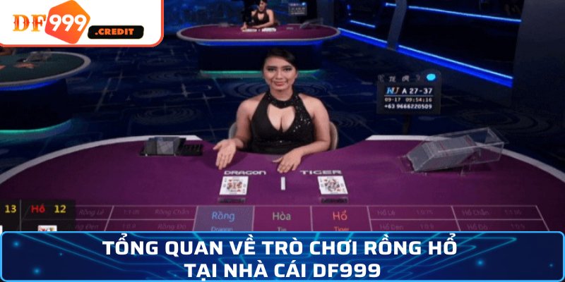 Tổng quan về trò chơi Rồng Hổ tại nhà cái DF999